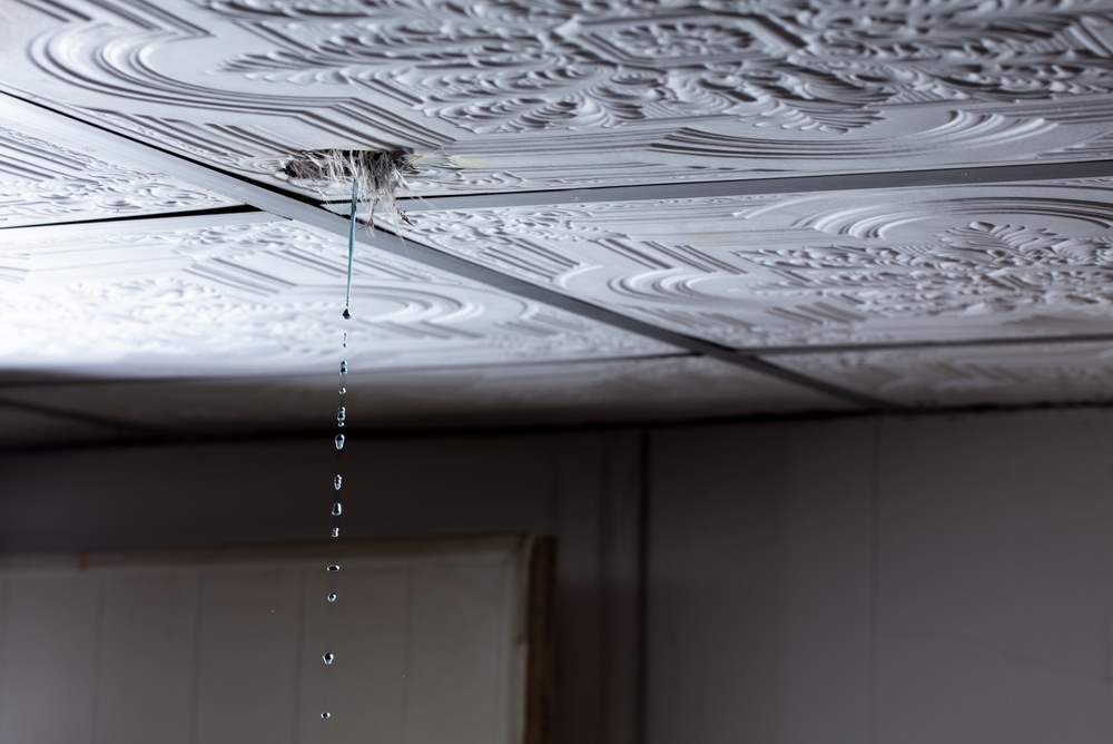 A leak coming through the pressed tin ceiling of a unit in an apartment building