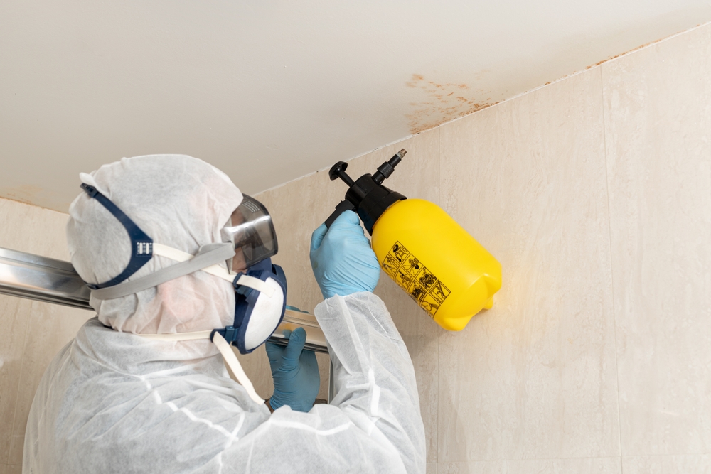 Professional cleaner treating mold an an apartment ceiling and wall